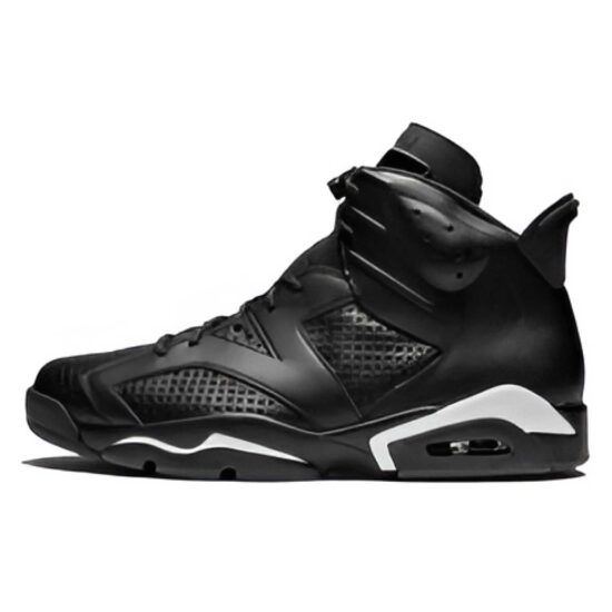 Air Jordan 6 Black Cat